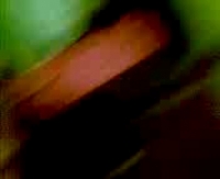 Наслаждайтесь просмотром фильма с азиатками