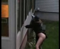 домашнее видео секса снимали на телефон