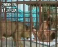 домашний секс сверху