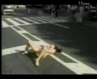 видео секс домашний телефон