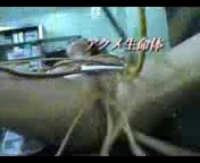 зрелый секс домашнее любительское