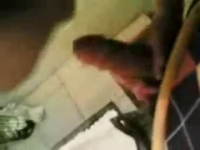 Секси точико жаждет страстного секса сейчас