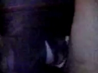 Погрузитесь в мир страсти с видео для взрослых