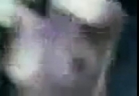 Наслаждайтесь uz seks video сейчас онлайн