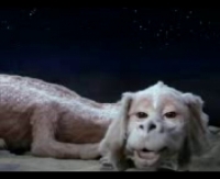 Горячая порно групповуха в соцсети ВКонтакте