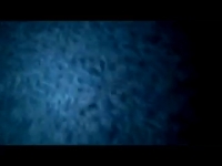 Потрясающее порно с голыми бурятками в деле